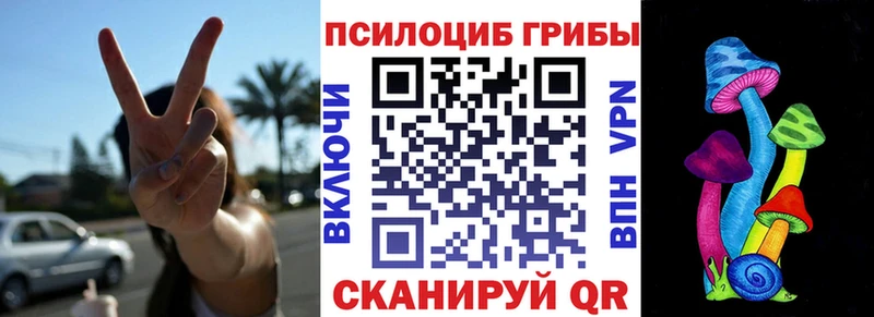 даркнет сайт  Снежногорск  Галлюциногенные грибы Psilocybe 